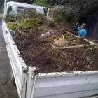 Maatskappy 2 beeld AAA BEE REMOVALS Wasp Removal in Meyerton GP