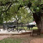 Business 77 image AFRICAN PRIDE IRENE COUNTRY LODGE, AUTOGRAPH COLLECTION® protea hotels african pride in Pretoria GP