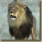 Maatskappy 23 beeld AIR CHARTER-DTL Zimbabwe in Johannesburg GP