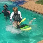 Business 6 image AUTISM SCHOOL, PRE-SCHOOL & DEVELOPMENT CENTRE Teacch Facility in Northwold Ext 15 GP