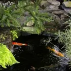 Business 1 image B2M CONSTRUCTION Fishpond Builders in Benoni GP