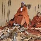 Business 23 image BACK TO OUR ROOTS DR FARUKU HERBALIST HEALER & FOTUNE TELLER !! Wealth Spells Online in Germiston GP