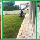 Business 1 image BARRETT'S INSTANT LAWN Turf in Tarlton GP