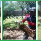 Business 2 image BARRETT'S INSTANT LAWN Turf in Tarlton GP