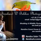 Business 7 image BEKKER WEDDING PHOTOGRAPHY Wildlife Photography in Hazyview MP