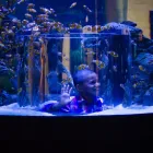 Maatskappy 11 beeld BEST WESTERN FOUNTAINS HOTEL Hotel in Cape Town WC