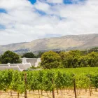 Maatskappy 17 beeld BEST WESTERN FOUNTAINS HOTEL Hotel in Cape Town WC