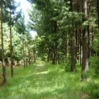 Business 1 image BIG SKY TRADING Wood in Hillcrest KZN