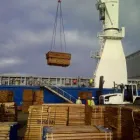 Business 4 image BIG SKY TRADING Wood in Hillcrest KZN