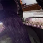 Business 3 image BLOEMENDAL WINE ESTATE Wine Tasting in Durbanville WC