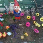 Maatskappy 1 beeld BLOMMELAND KLEUTERSKOOL Nursery School in Pretoria GP