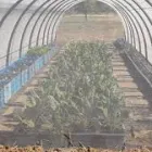 Business 23 image BLUE BARN (PTY) LTD Plastic Fencing Mesh in Benoni, South Africa GP