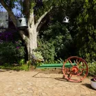 Business 1 image BLUE MANGO LODGE Weddings in Kempton Park GP