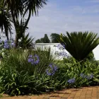 Business 2 image BLUE MANGO LODGE Weddings in Kempton Park GP
