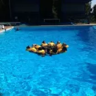 Business 4 image BSCTA Flight Attendant Training in Pretoria GP