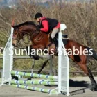 Business 3 image BYERLEY PARK STABLES Trail in Johannesburg GP