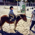 Business 6 image BYERLEY PARK STABLES Trail in Johannesburg GP