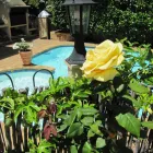 Maatskappy 3 beeld CARMICHAEL GUESTHOUSE Hotel Accommodation in Cape Town WC