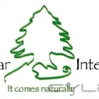 Business 31 image CEDAR INTERIORS Wallpaper Supply in Westville KZN