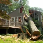 Maatskappy 1 beeld CENTURION TREE FELLING Tshwane Boomsloping Services in Centurion GP