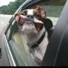 Business 1 image CHAIN-TECH MOTORCYCLES Tyres in Kempton Park GP