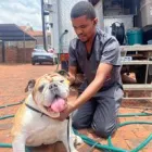 Maatskappy 6 beeld CLEAN PAWS Pet Shops in Johannesburg GP