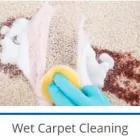 Maatskappy 4 beeld CLEANING SPECIALISTS (WILKOPPIES) Pest Control in Klerksdorp NW