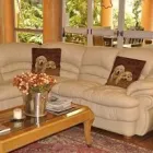 Maatskappy 22 beeld CRANES NEST GUEST HOUSE AND SPA AT 313 Zuid Afrikaans in Pretoria GP