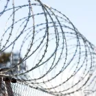 Business 5 image D&L FENCING & SUPPLIES Wire in Richards Bay KZN
