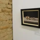 Maatskappy 1 beeld D-STREET GALLERY Gallery in Stellenbosch WC