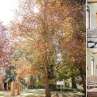 Business 3 image DEBBIE KELLY PHOTOGRAPHY Wedding Photography in East London EC