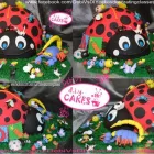 Business 23 image DEBI V`S DIY CAKES - SCHOOL OF CAKE DECORATING Wedding Cakes in Pretoria GP