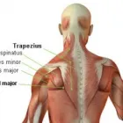 Business 2 image DEEP TISSUE  MASSAGE Somerset West Or -wes in Cape Town WC