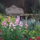 Business 10 image DESIGNER GARDENS LANDSCAPING Wooden Deck in Pretoria GP