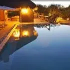 Maatskappy 4 beeld DOT TRAVEL Wild Animals in Nelspruit MP