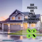 Maatskappy 10 beeld DPEST PEST CONTROL SERVICES Wasps in Cape Town WC