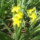 Business 1 image DR.MUSA SPIRITUAL HERBALIST HEALER AND FORTUNE TELLER Beauty And Health Schools in Wellington WC