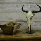 Business 1 image DUNCAN YARD BOUTIQUE LIFESTYLE CENTRE Shopping Centre in Pretoria GP