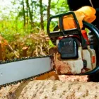 Business 1 image EAGLES NEST TREE FELLING Uprooting in Kempton Park GP