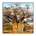 Maatskappy 3 beeld EBRAHIM'S TOURS AND TRAVEL Travel in Johannesburg GP
