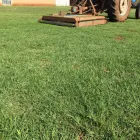 Business 8 image ECOTURF INSTANT LAWN Lawndressing in Krugersdorp GP
