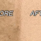 Business 8 image EDENVALE CLEANING SERVICE Rug Cleaning in Edenvale GP