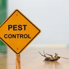 Business 2 image EFEKTO Termite Control in Johannesburg GP