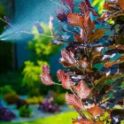 Business 5 image EFEKTO Termite Control in Johannesburg GP