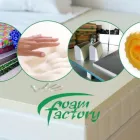 Maatskappy 1 beeld FOAM FACTORY THE Mattresses in East London EC