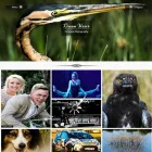 Maatskappy 5 beeld G WEB DESIGN Website Design in Cape Town WC