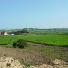 Maatskappy 4 beeld GATE AND FENCE Steel Fencing in Durban KZN