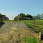 Maatskappy 5 beeld GATE AND FENCE Steel Fencing in Durban KZN