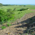 Maatskappy 7 beeld GATE AND FENCE Steel Fencing in Durban KZN