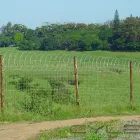 Maatskappy 9 beeld GATE AND FENCE Steel Fencing in Durban KZN